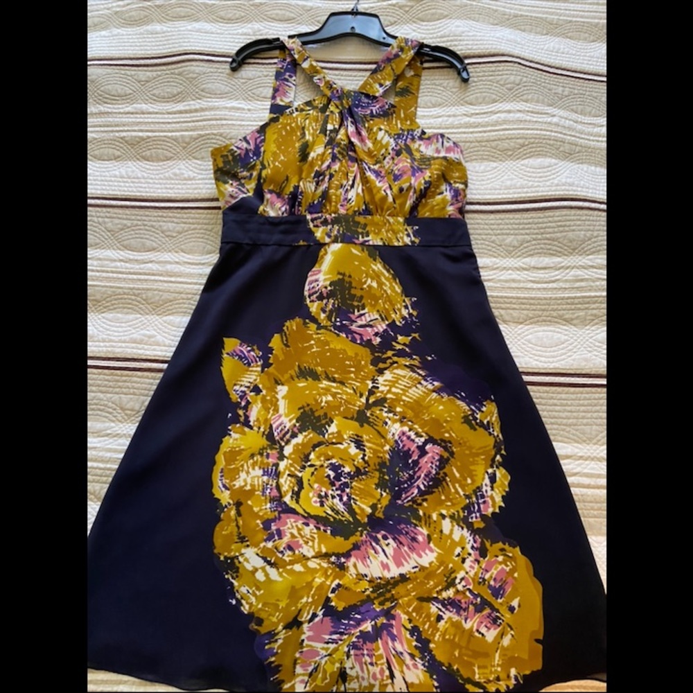 The Limited Floral Dress